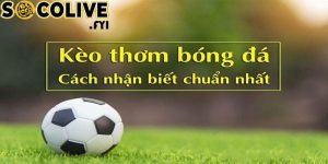 Hướng dẫn cách sử dụng kèo thơm hiệu quả